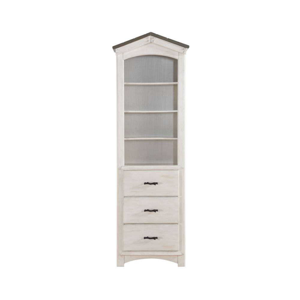 Andreis Bookcase Cabinet