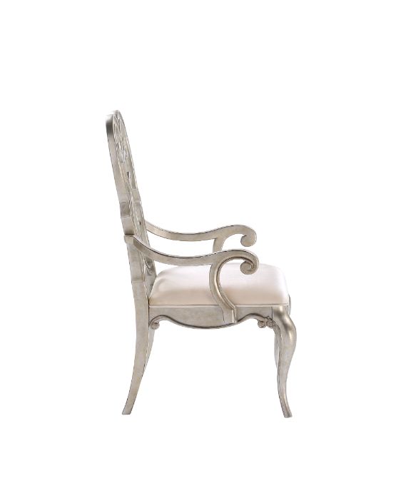 Dyna Arm Chair (Set-2)