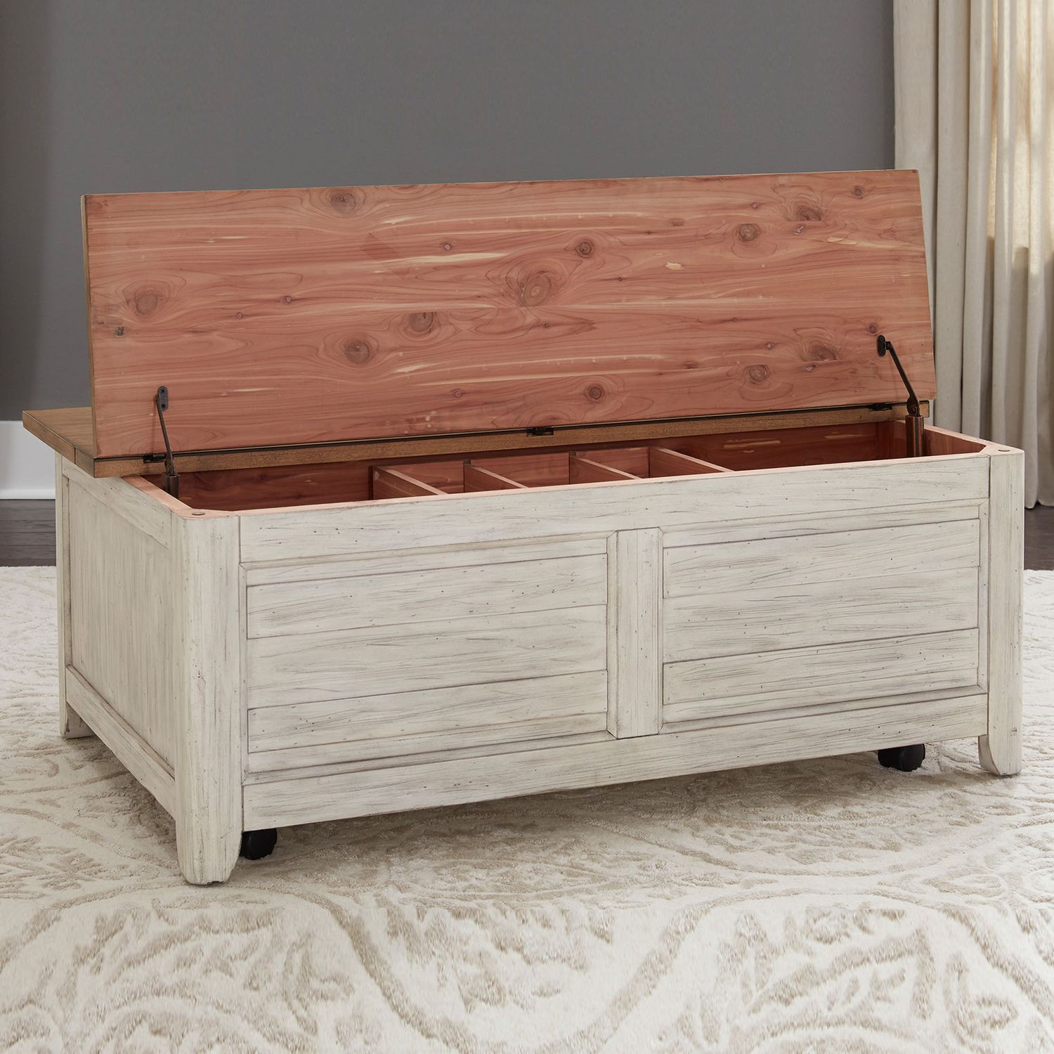 Blayden Storage Trunk Coffee Table