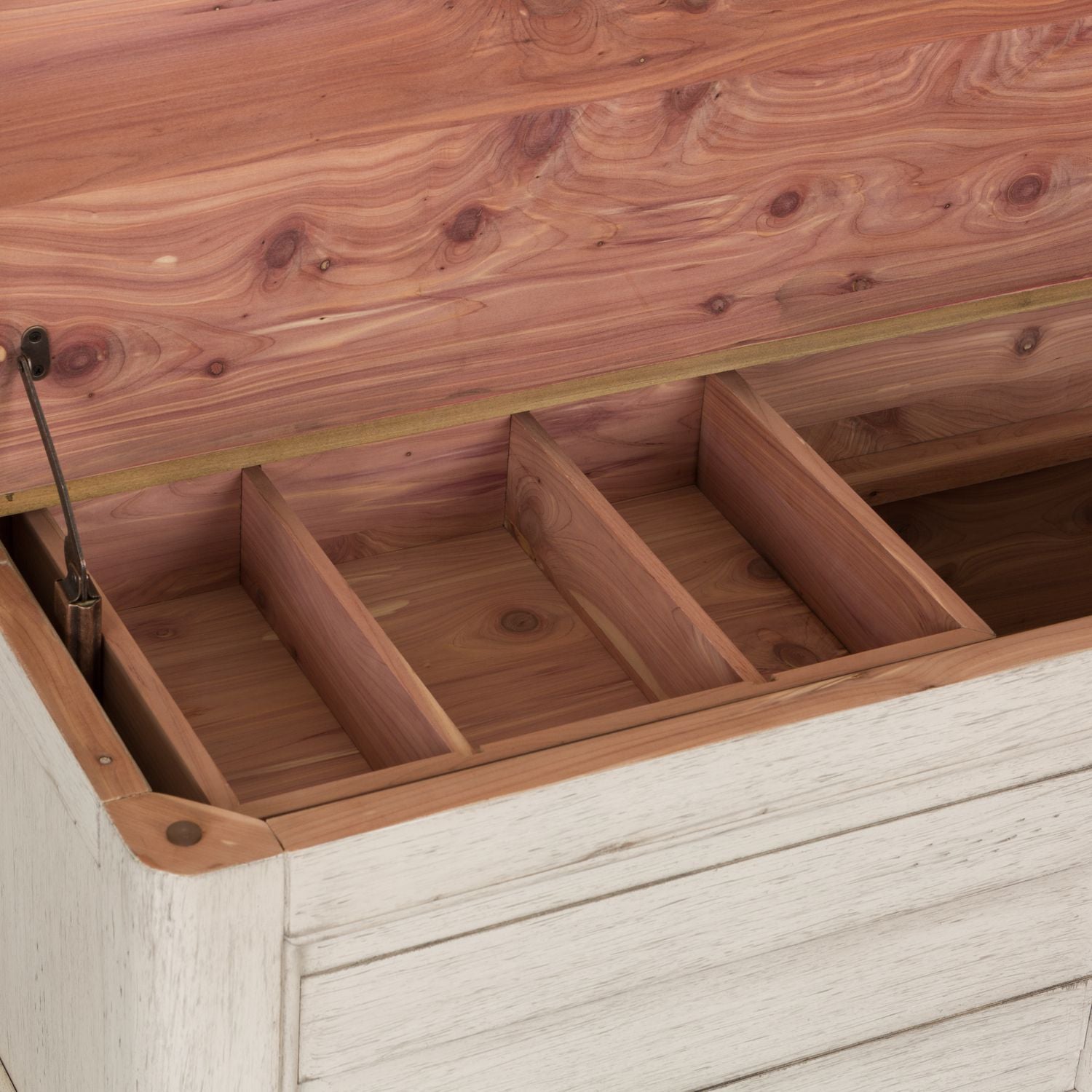 Blayden Storage Trunk Coffee Table