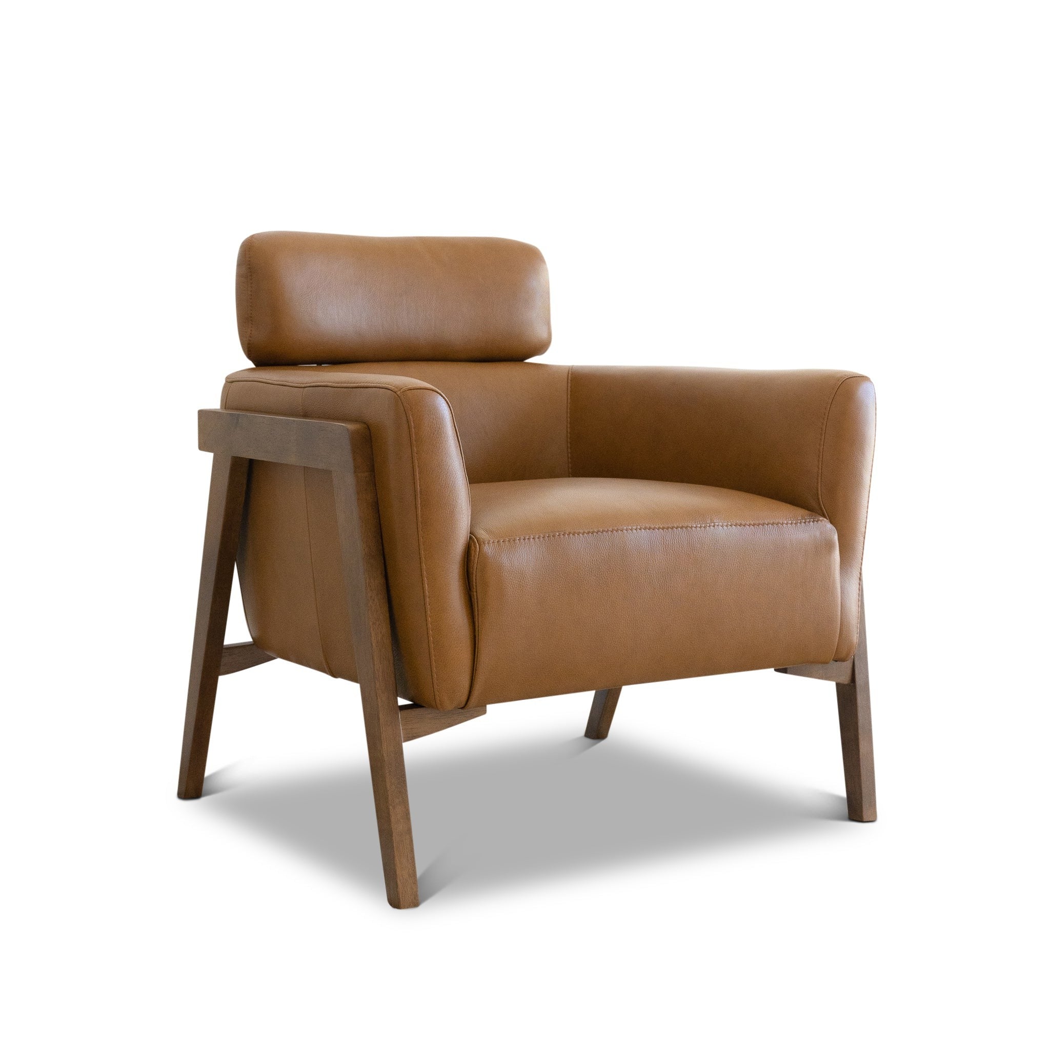 Ivy Missouri Leather Lounge Chair