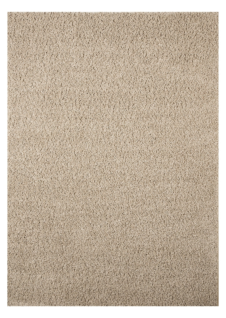 Caci 5' x 7' Rug