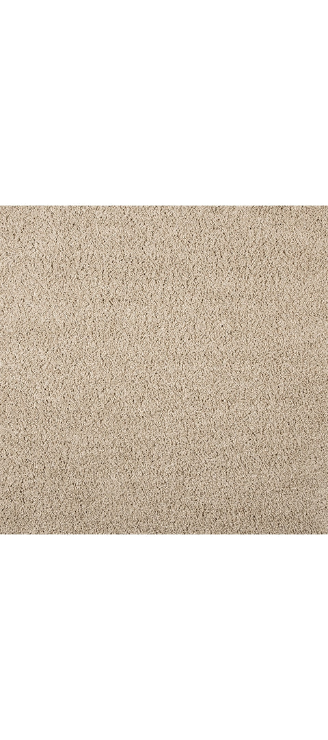 Caci 5' x 7' Rug