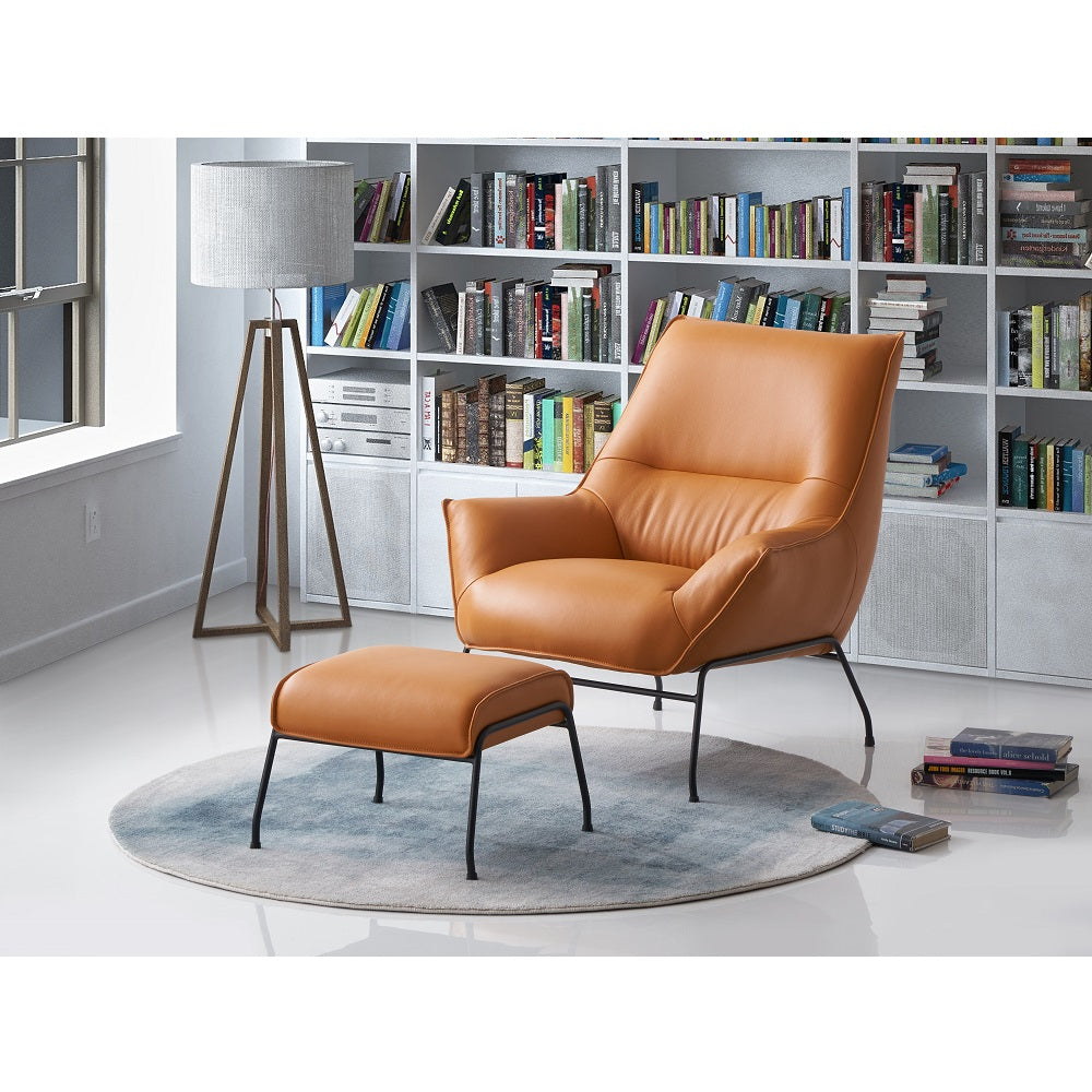 Amr Accent Chair & Ottoman