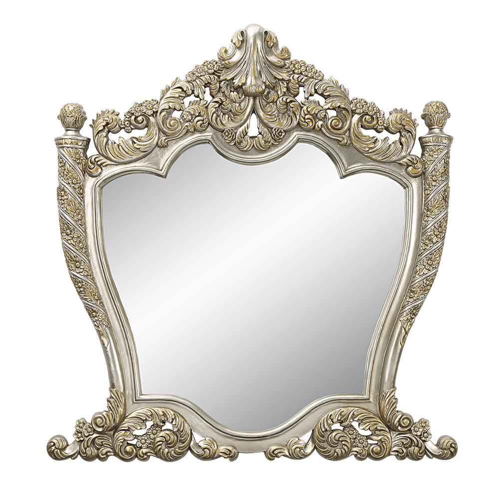 Anamol Mirror