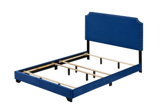 Goscho Modern & Solid Color Sleek Style Design Bed Queen Blue Velvet Without Storage