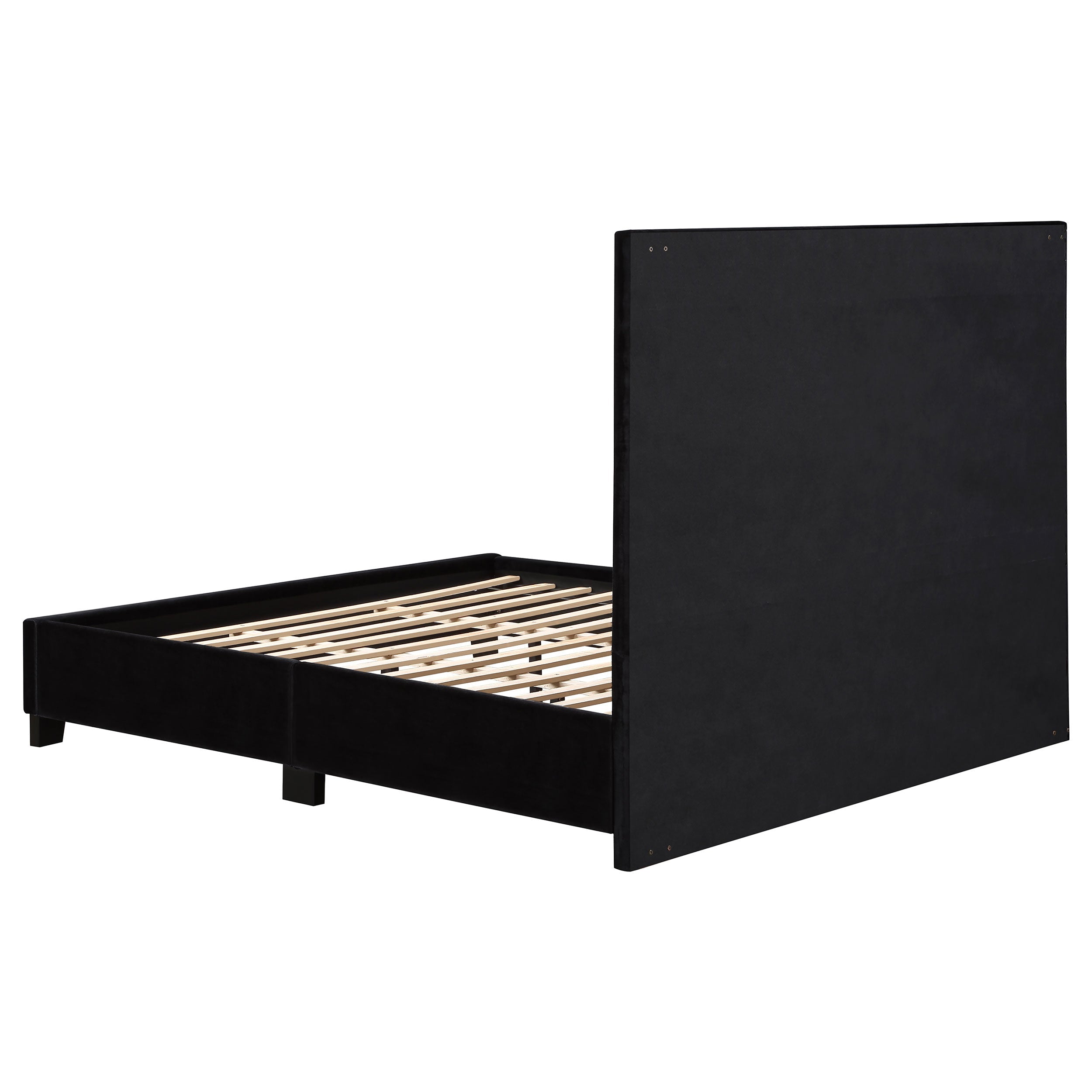 Hailey Modern Upholstered Tufted Platform Bed Black