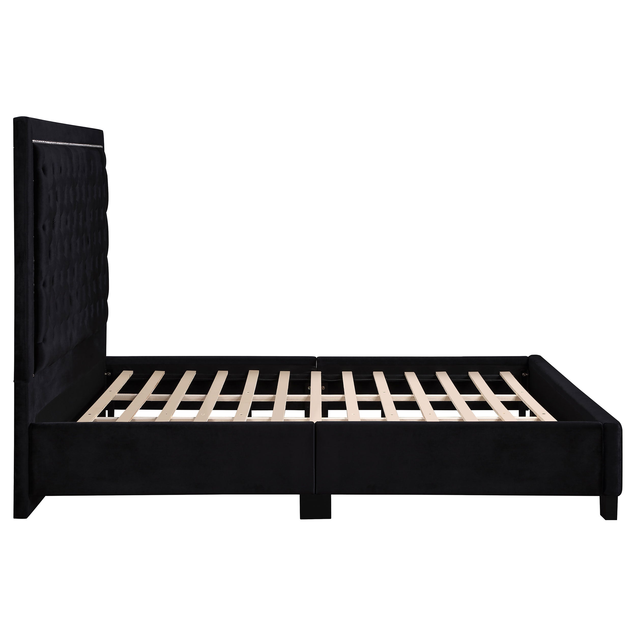 Hailey Modern Upholstered Tufted Platform Bed Black