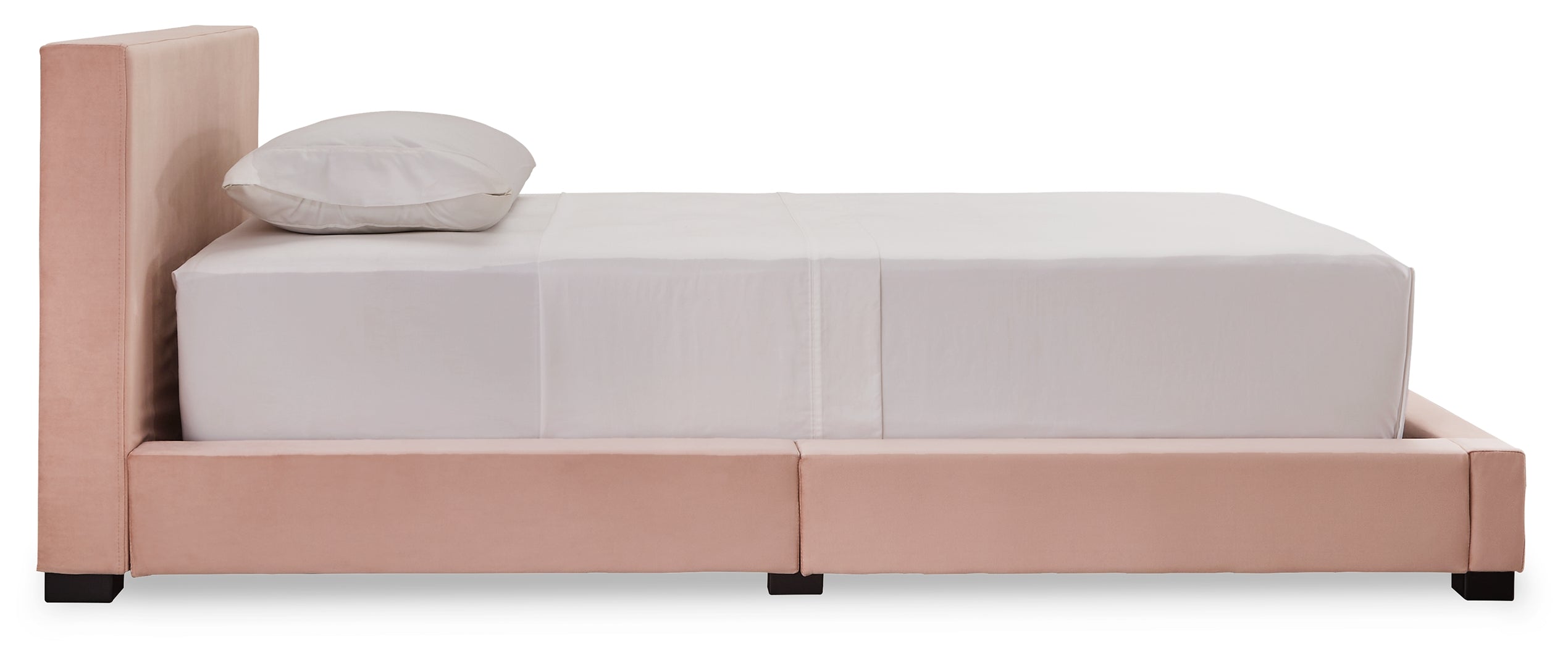 Chesani Plush Look Contemporary Upholstered Bed